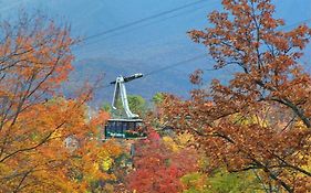 Tree Tops Resort of Gatlinburg